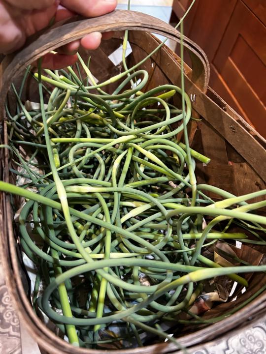 Garlic scapes 