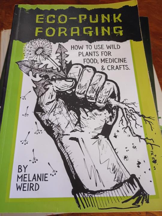Top 5 books for new foragers 