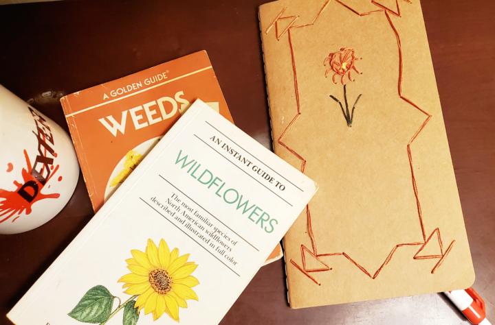 February journal challenge...