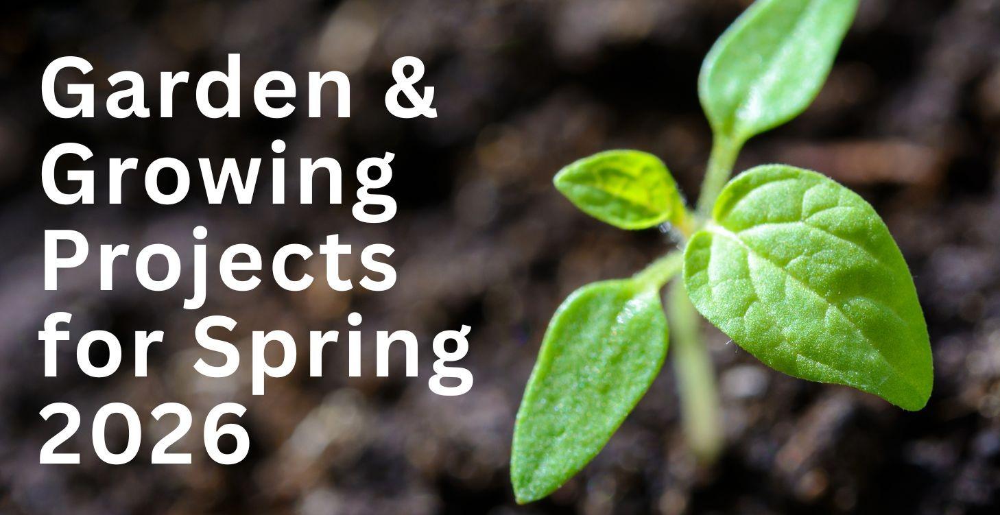 31 Garden Projects