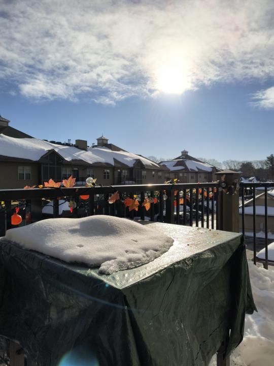 🏝️Healthy Productive Living🏝️