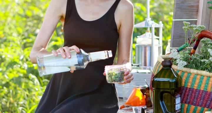 March 2026 Plant Cohort