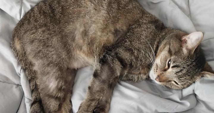 The Hidden Ones Gaming Live