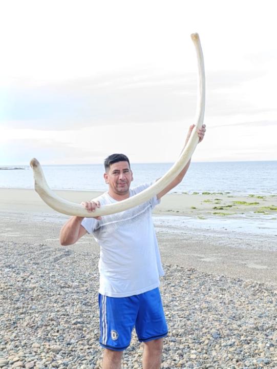 Jorge armando Arevalos