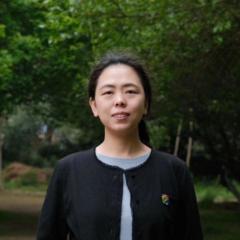 Shu Yang