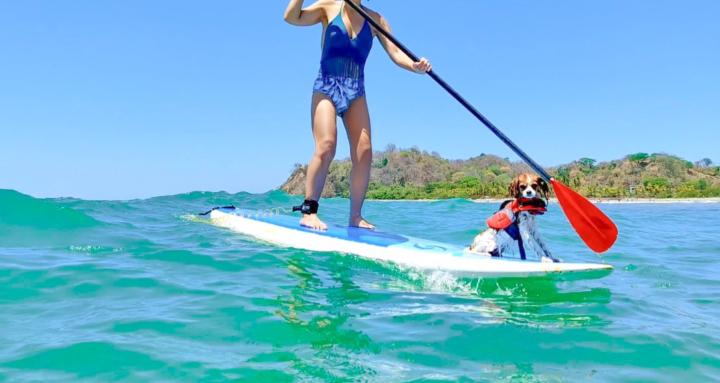 Pura Vida Pup