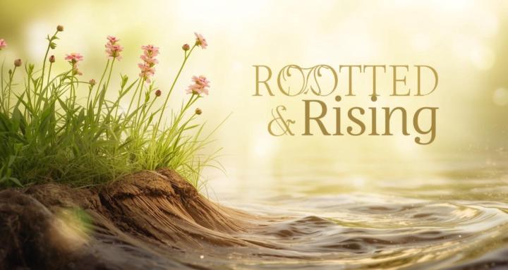 Rooted & Rising
