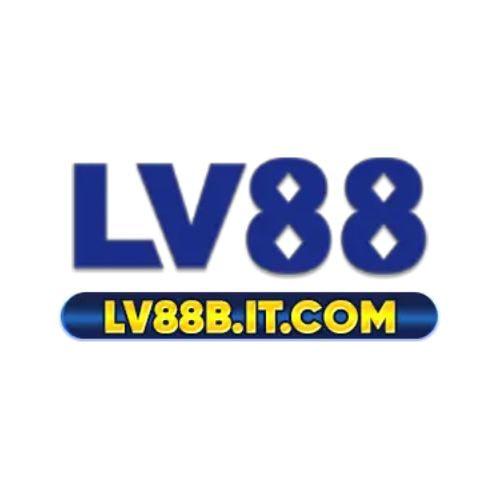 Lvb ITCom