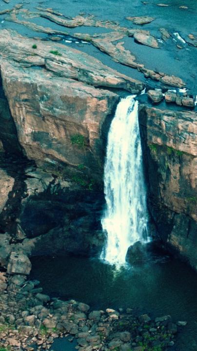 Mohammad Usaid Abbasi