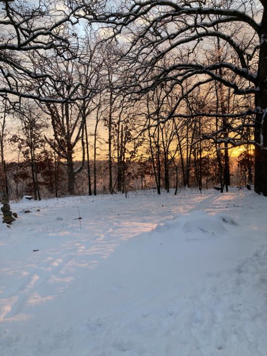 Snow sunrise