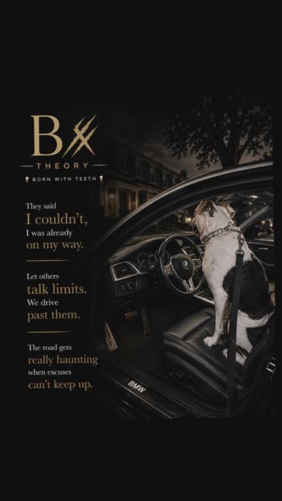 Mr Bronx 