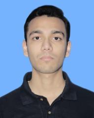 Shees Hussain