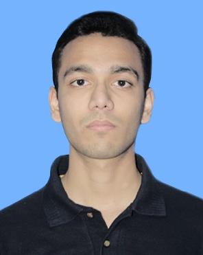 Shees Hussain