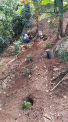 Laura Leticia Escobar Bohorquez