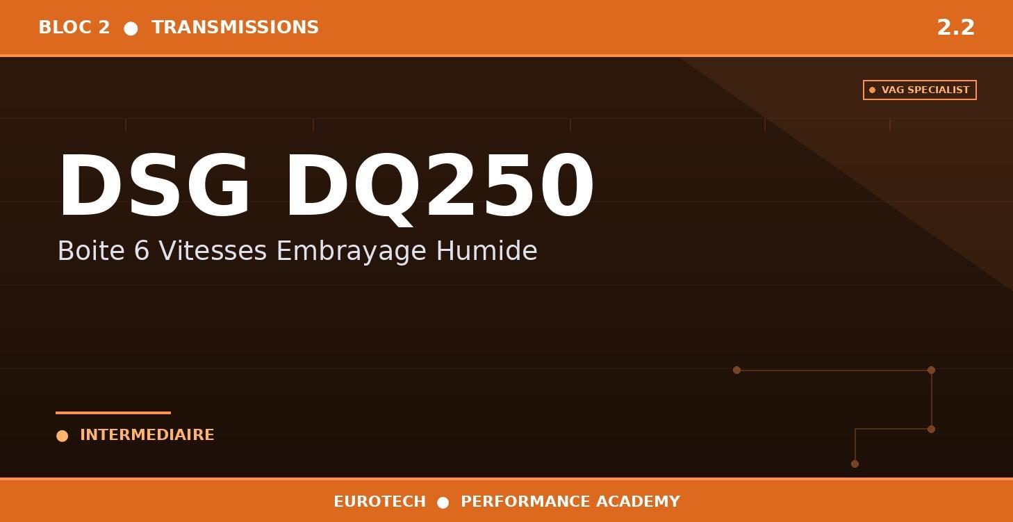 2.2 —DSG DQ250— Boîte 6 Vitesses Embrayage Humide