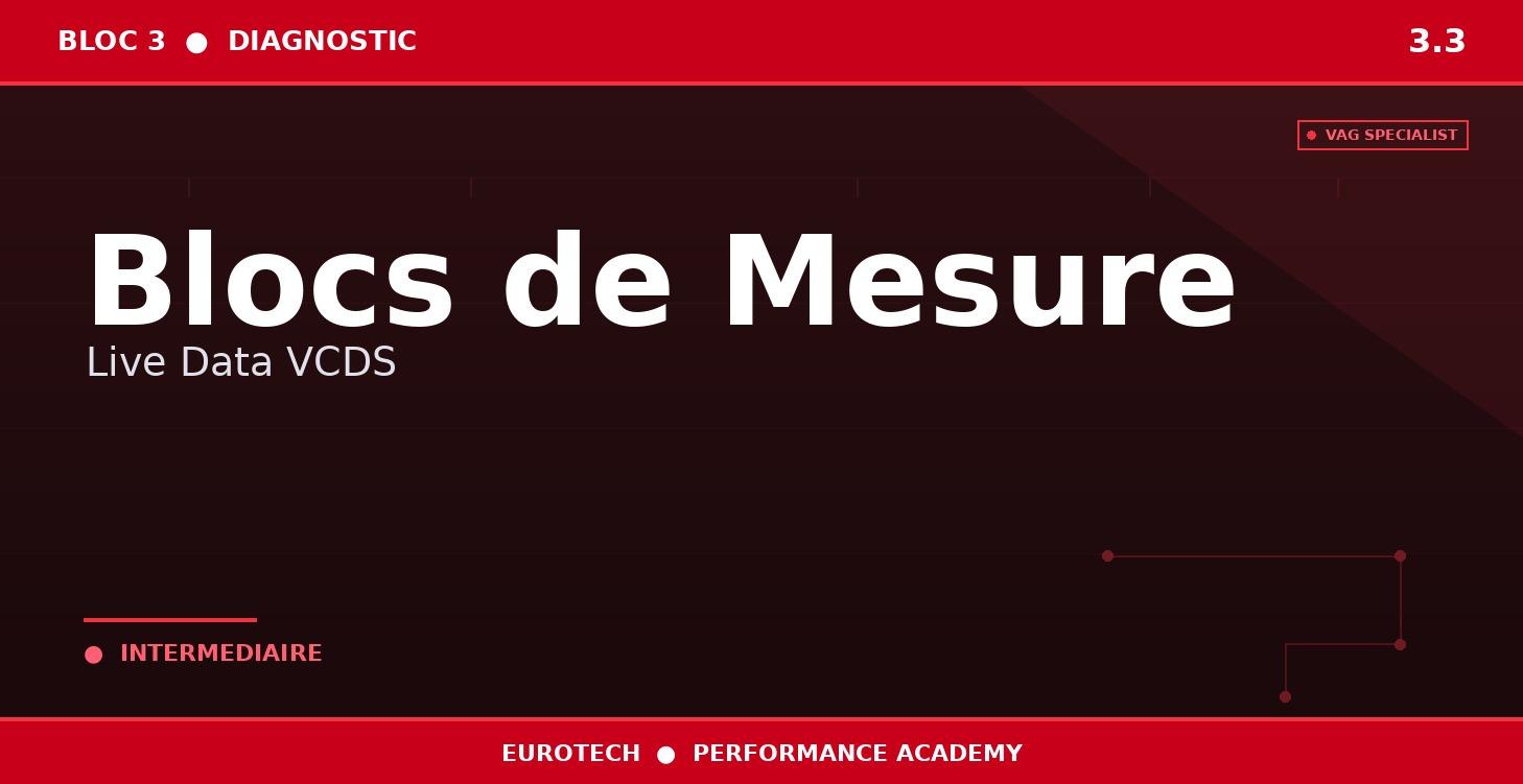 3.3 — Blocs de Mesure — Live Data VCDS