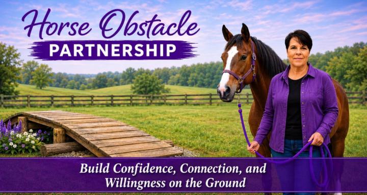Horse Obstacle Partnership