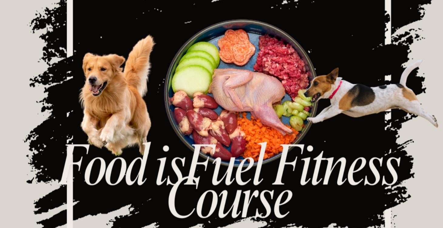 Food Is Fuel Fitness Course