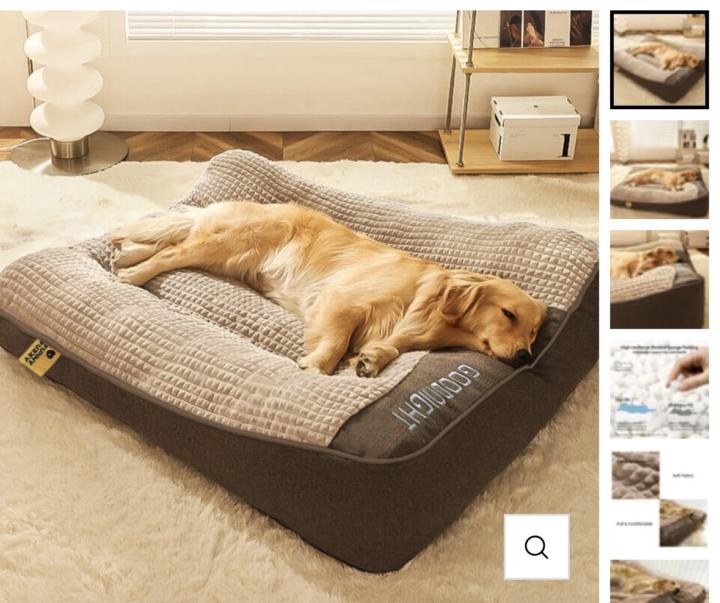 Favorite dog beds?