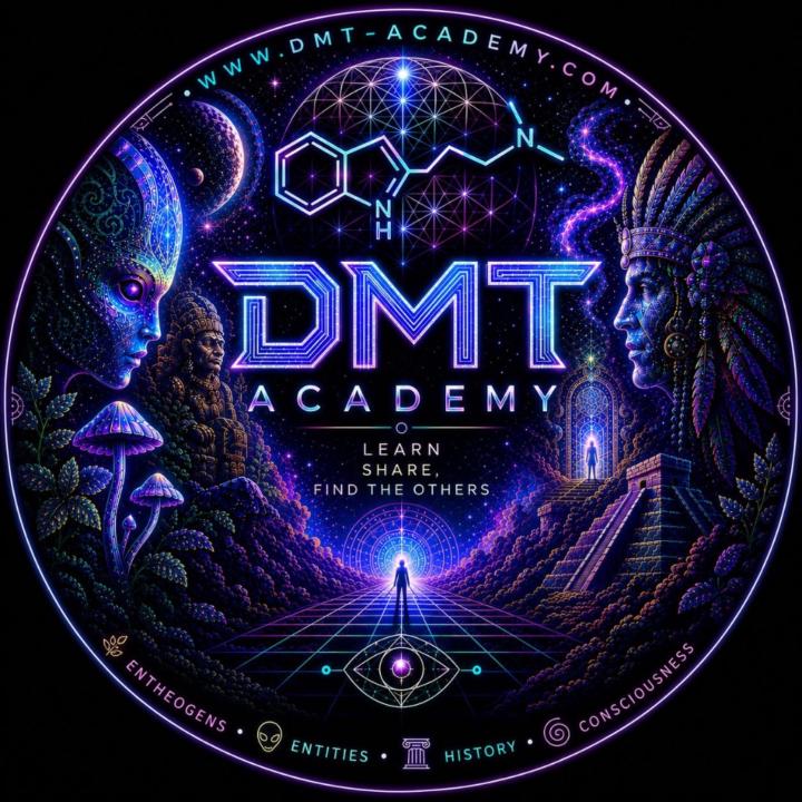 Dmt Academy