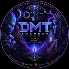 Dmt Academy