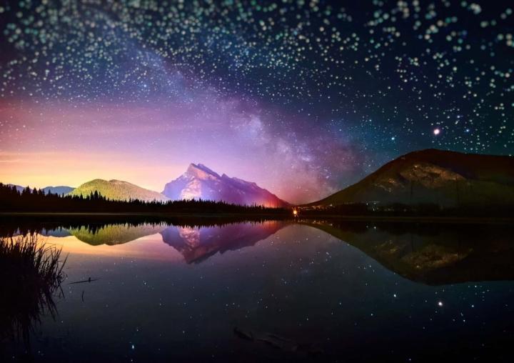 Alex Dhoe