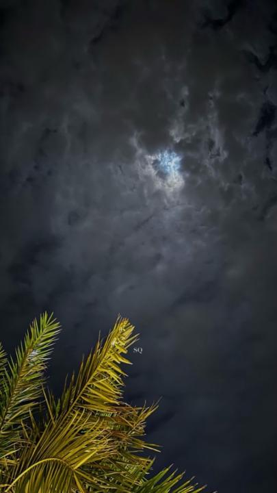 عبدالله الحربي