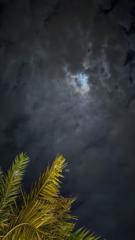 عبدالله الحربي