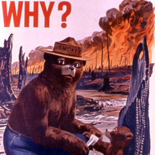 Hate Bear