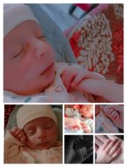 Zain Iqbal