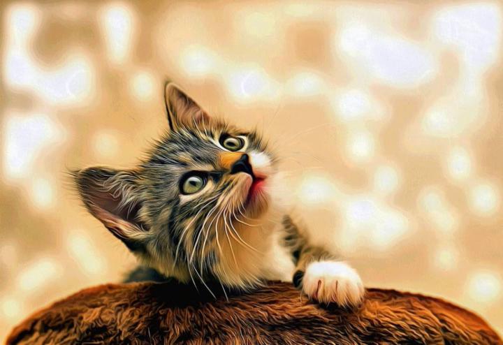 Илья Соловьев