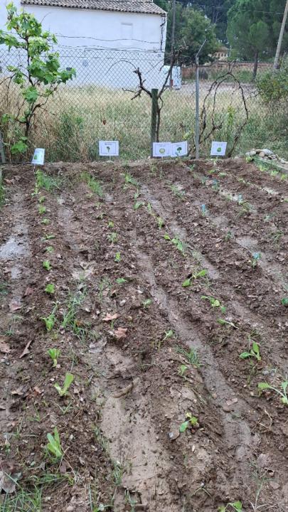 Francisco Javier Gallardo Rada