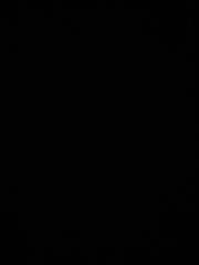 Percée digital Simsek