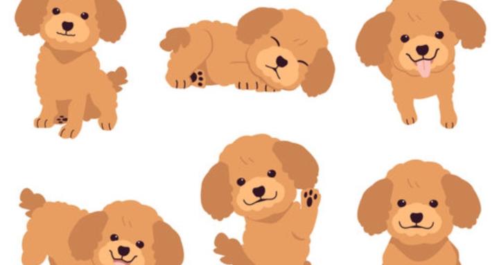 Learn Science with Poppy