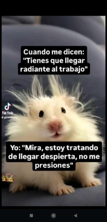 Mel Santamaría Rodríguez