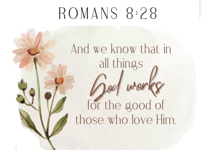 🌿  Story: Seeing God in It All