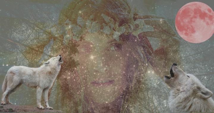 The Wolfskin Project