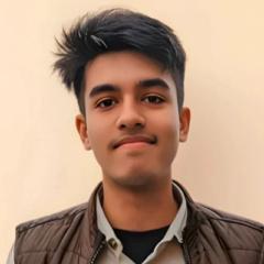 Aditya Das , Ai Agent