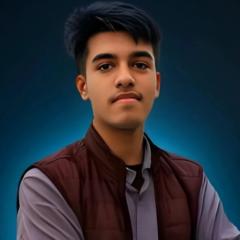 Aditya Das , Ai Agent