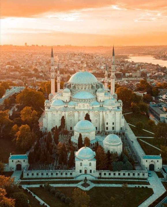 Dr. Ariba Sohail Ahmed.