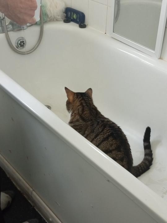 Sebastian Goncalves-hill