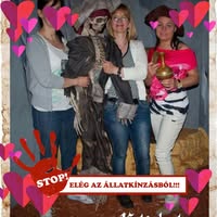 Oszheimer Györgyike