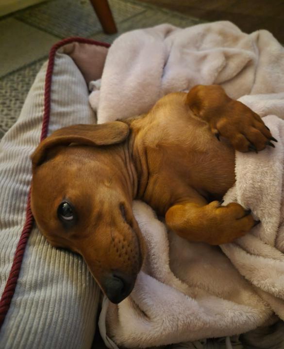 Mi presentación 🤍