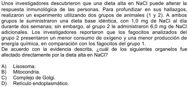 Presentación 
