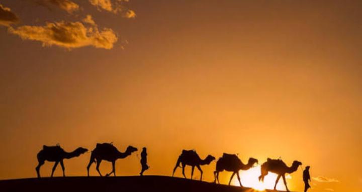 Freedom Creators Lab