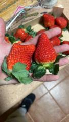 Antonio carrillo Romero