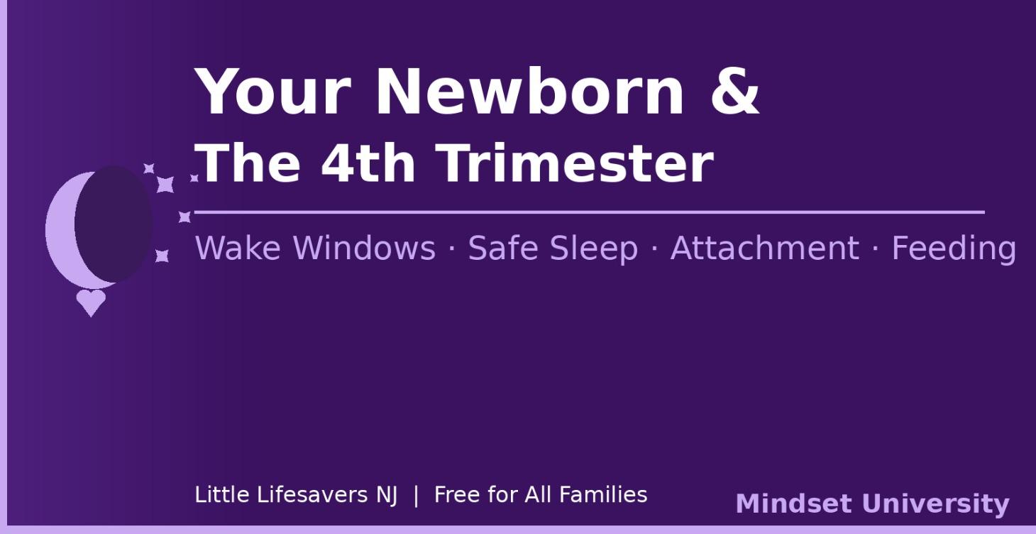 Newborn Survival Guide (No One Sent You)