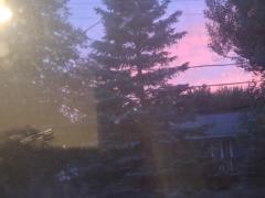 Similoluwa Bamidele-Herbert