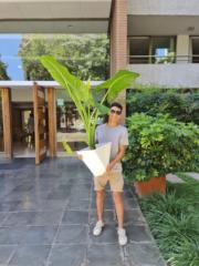 Felipe Solis