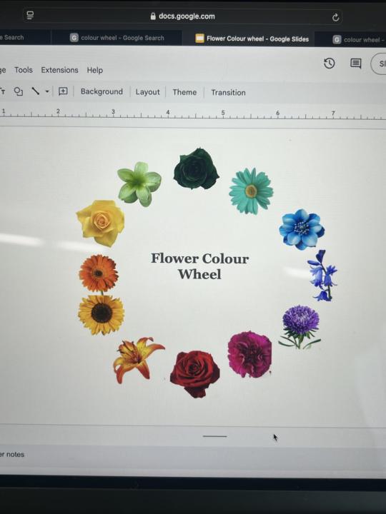 Flower colour wheel 🌻🌸🌺